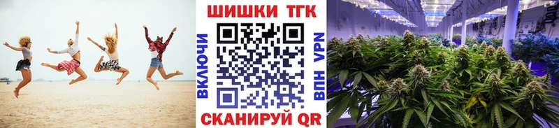 Бошки Шишки индика  магазин продажи наркотиков  Ак-Довурак 